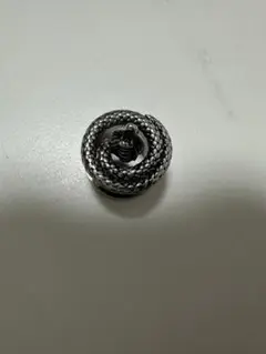ステンレス製　蛇デザイン ピアス　12mm