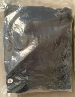 Item thumbnail for item 6009de8c-c3d3-41c8-813d-c957d56d09cd