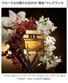 DOLCE & GABBANA By 香水 50ml 廃盤 未使用品 激レア - メルカリ