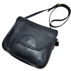 Item thumbnail for item e3ab5b47-7fc6-474f-9ca5-ede70327e8c6