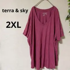 大きいサイズ 【2X】 ピンクVネック Tシャツ オーバーサイズ 3XL