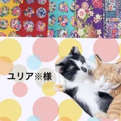 猫首輪 えり付き＋セーフティバックル ⑫-EN13