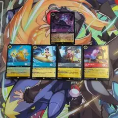 や*す様 ロルカナ　まとめ売り