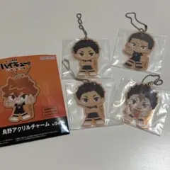 ハイキュー 一番くじ アクリルチャーム 烏野