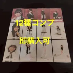 稲熊ひな　櫻坂46 ドレス ルームウェア どうぶつ着ぐるみ　生写真 コンプ