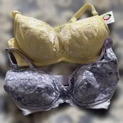 Item thumbnail for item f0fc44f6-c782-4d6b-93b2-fa3ad721cb71