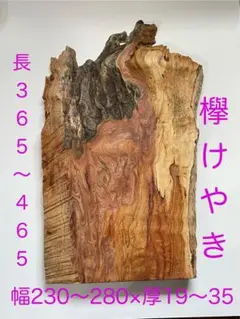 欅（けやき） 51 変わり杢　玉杢　インテリアにも