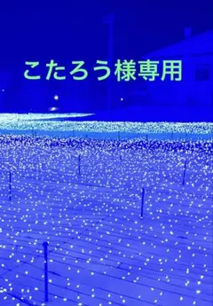 こたろう様専用