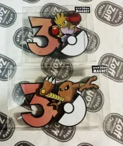 30th マグネット リオル ルカリオ 中国ポケモンセンター限定 2点