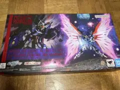 METAL ROBOT魂 デスティニーガンダム 光の翼＆エフェクトセット　未開封のサムネイル