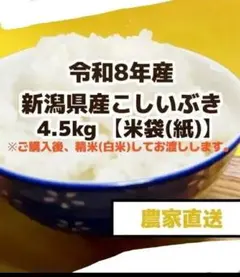 精米済み10キロ【農家直送！】新潟県産こしいぶき 特別栽培米 7年産