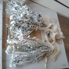 mochimochi様 リクエスト 2点 まとめ商品