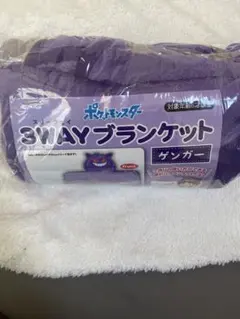 2025年最新】ポケモン ブランケット ゲンガーの人気アイテム - メルカリ