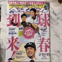 週刊ベースボール 2014年 プロ野球記録集計特大号 - メルカリ