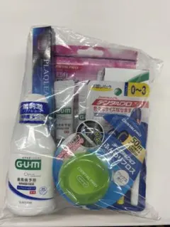 GUM デンタルプロ 口腔ケアセット 歯周病予防 デンタルフロスのサムネイル