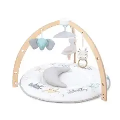 aden + anais アクティビティジム コットンモスリン 感覚刺激