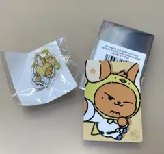 TXT トゥバ プルバトゥ ランダムトレカ&カプセルトイ　ファンチュン