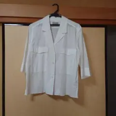 Item thumbnail for item 74fb4cdb-1e01-46c6-83d4-b2481a693ed1