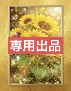 キャリコ様専用‼️