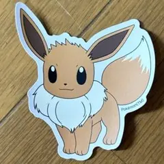 ポケットモンスター　スカーレット　バイオレット　コライドン　ミライドン　色違い