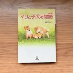 マリと子犬の物語