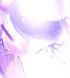 【mia様専用】※25日まで