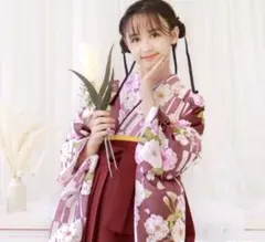 285-卒業袴❤︎着物&袴2点セット Kansai ピンクに梅 襦袢と帯の追加 