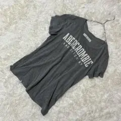 アバクロンビー&フィッチ Abercrombie&Fitch Tシャツ グレー