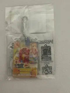 アイカツ！だれでもアイドル活動 ガチャガチャアクリルチャーム 夏樹みくる