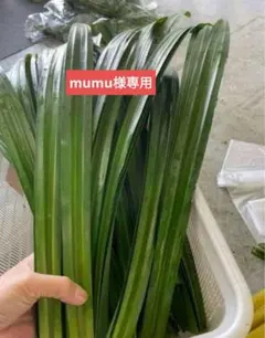 mumu様専用ページ。