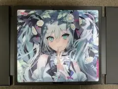 Wallhack/SkyPAD SP-004 Hatsune Miku