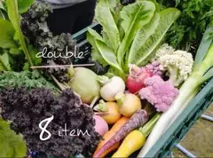 旬の野菜詰め合わせ double 野菜セット
