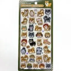 正規品 クーリア 和柄 ボンボンドロップシール 柴犬 しばけん 犬