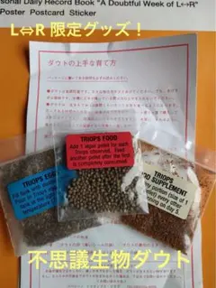 Item thumbnail for item 6c93d5ec-887a-4b52-b590-f6116731376b