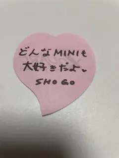 INI 田島将吾 落下物