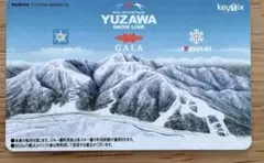2026年最新】gala湯沢リフト券の人気アイテム - メルカリ