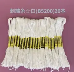 Item thumbnail for item e0ae656e-8d02-4d6c-a871-03145942563a