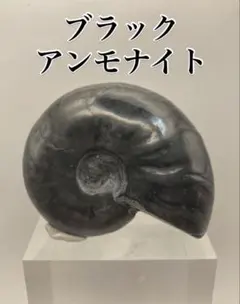 ゆうやん様 リクエスト 3点 まとめ商品