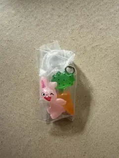 ノンタンめじるしアクセサリー2　うさぎさんA