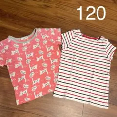 Tシャツ　半袖　セット　女の子　キッズ　120