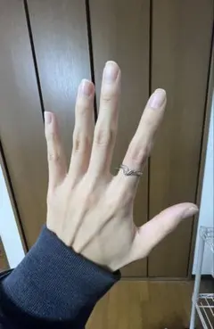 Pt900 プラチナ　リング　10号　SCARABE製