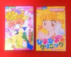 月梨野ゆみ作品15冊セット 2025年最新】月梨野ゆみの人気アイテム - メルカリ