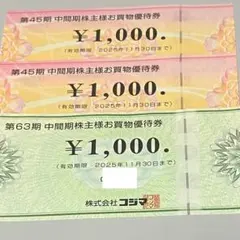 ビックカメラ コジマ 株主優待　3000円分