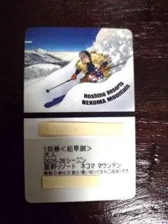 2026年最新】ネコママウンテン リフト券の人気アイテム - メルカリ