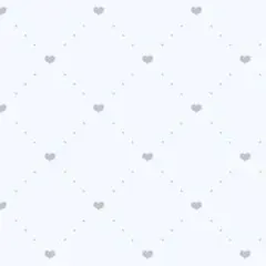 しばライオン同封✕様 専用