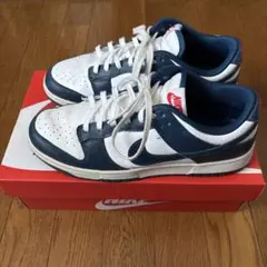 ナイキ　ダンクロー　バレリアンブルー　27cm