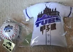 TUBE 甲子園 - メルカリ