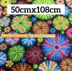 USAコットン ケイフファセット 花柄 生地 ㉗ 50cm 黒色