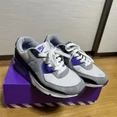 NIKE Air Max グレー/パープル スニーカー