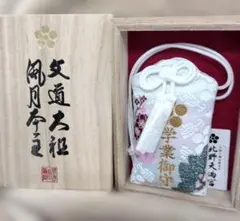 Item thumbnail for item 0f47e133-246e-4738-b0ad-380211f49e64